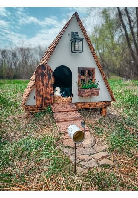 10+ Winterproof Ideas to Keep Your Livestock Warm and Safe Cozy A-Frame Duck Cottage