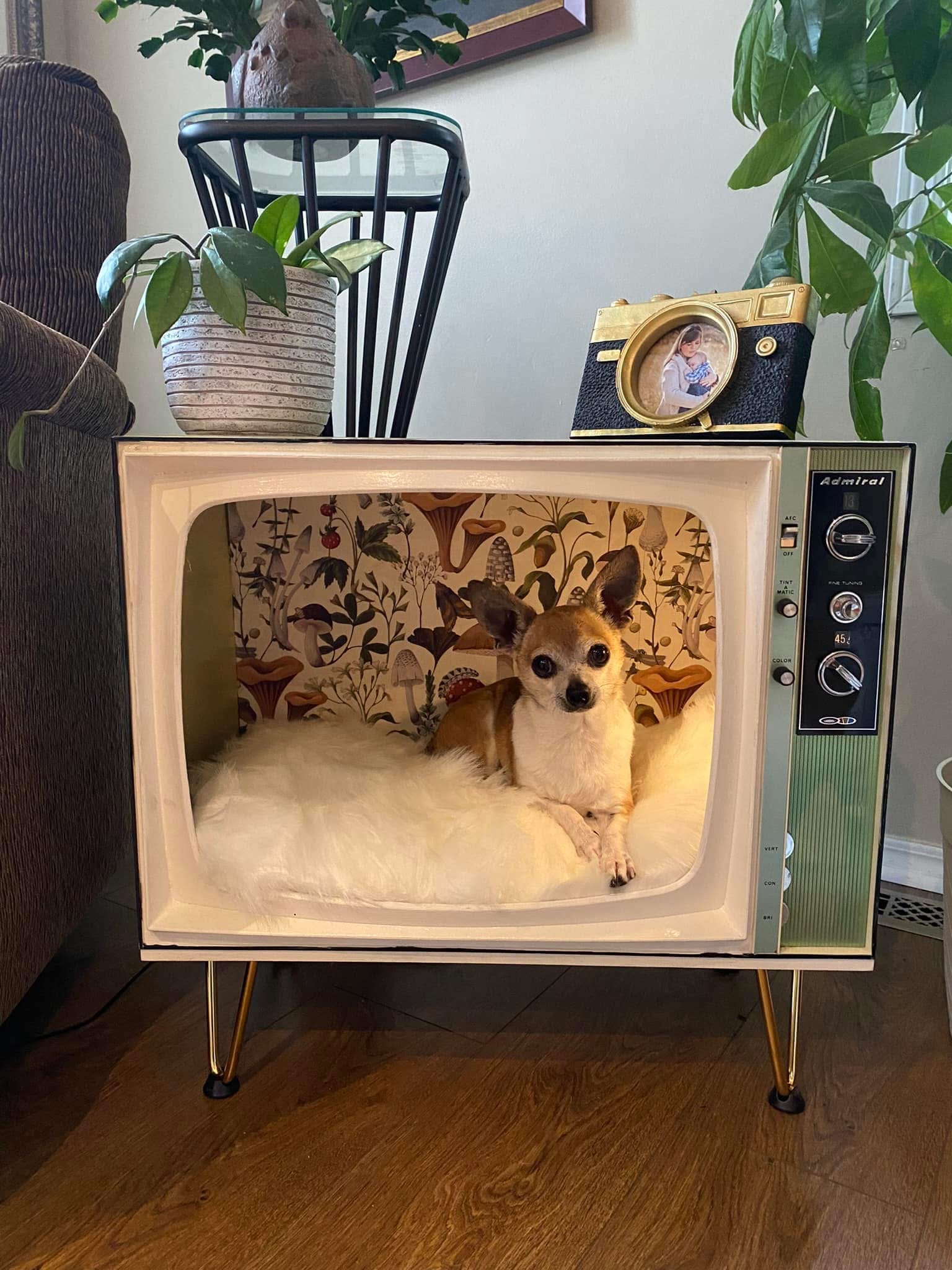 12 Old TV Makeovers to Give Nostalgia a Modern Twist Cozy Retro Pet Lounge