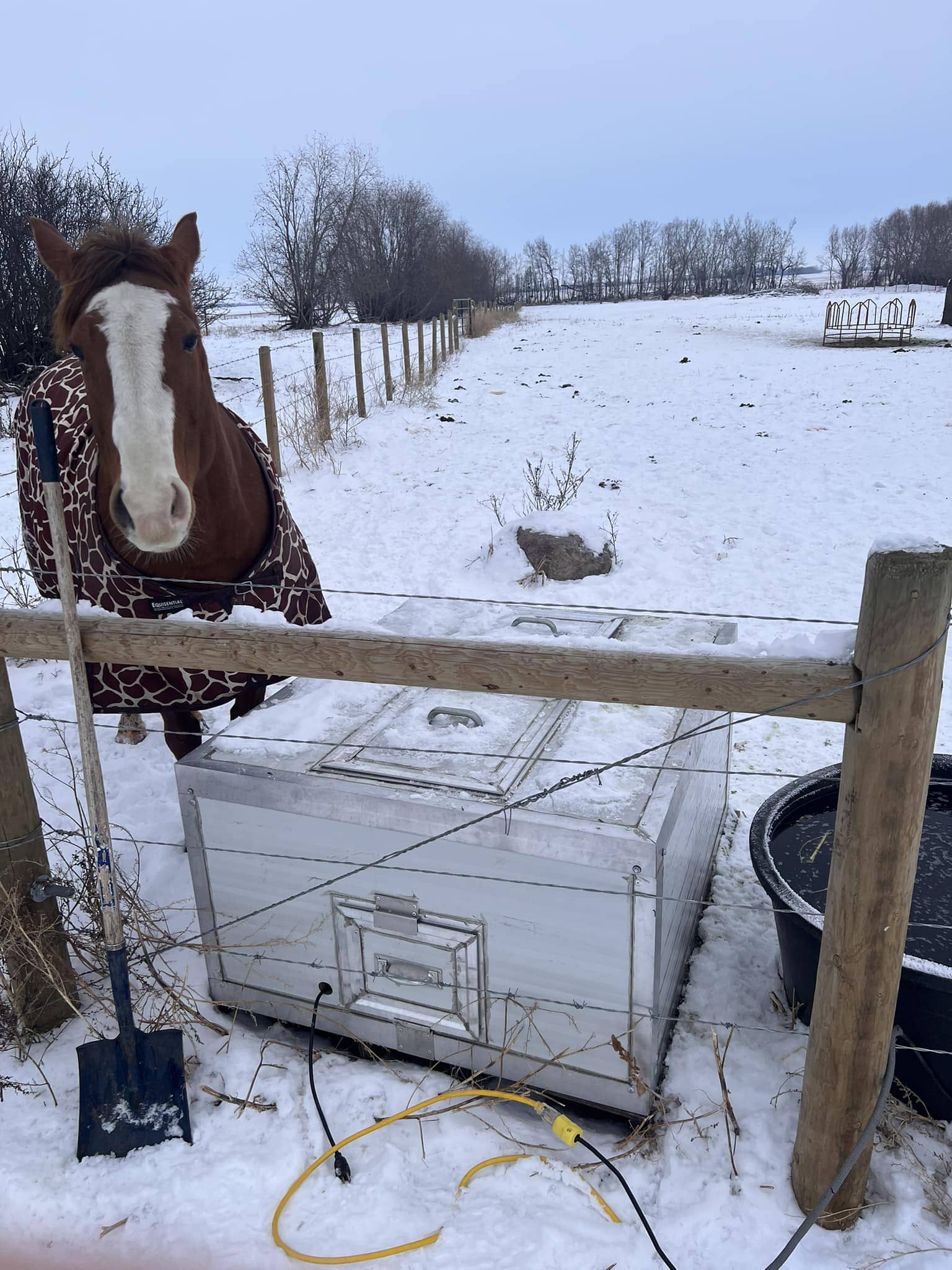 10+ Winterproof Ideas to Keep Your Livestock Warm and Safe DIY Insulated Horse Water Tote