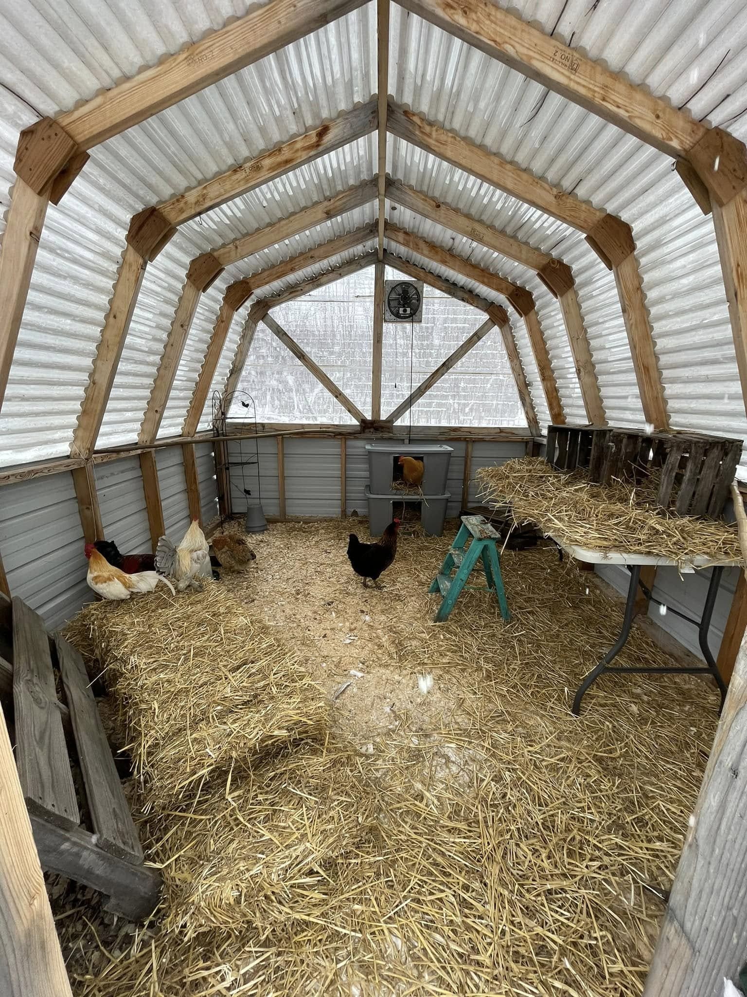 10+ Winterproof Ideas to Keep Your Livestock Warm and Safe Deep Straw Bedding Chicken Coop