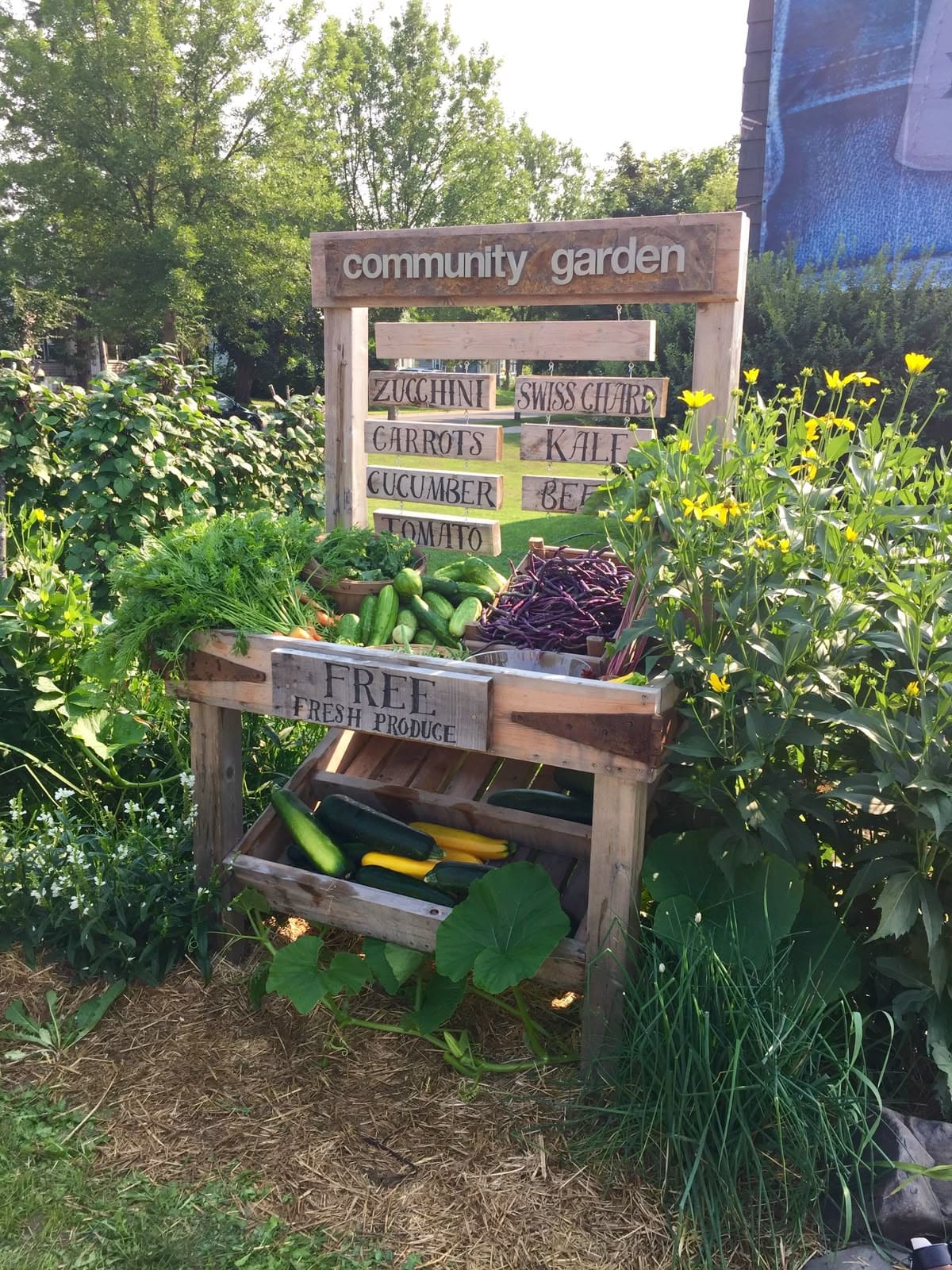 22 Charming DIY Farm Stand Ideas to Inspire Your Homestead Free Community Garden Produce Stand