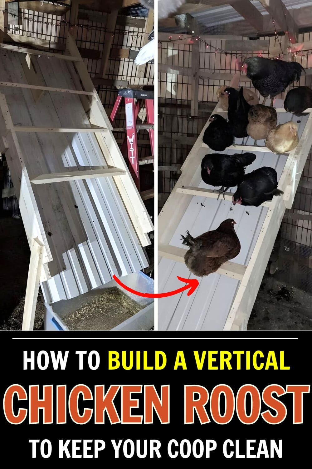 How to Build a Vertical Chicken Roost That Keeps Your Coop Clean and Cozy How to Build a Vertical Chicken Roost That Keeps Your Coop Clean and Cozy