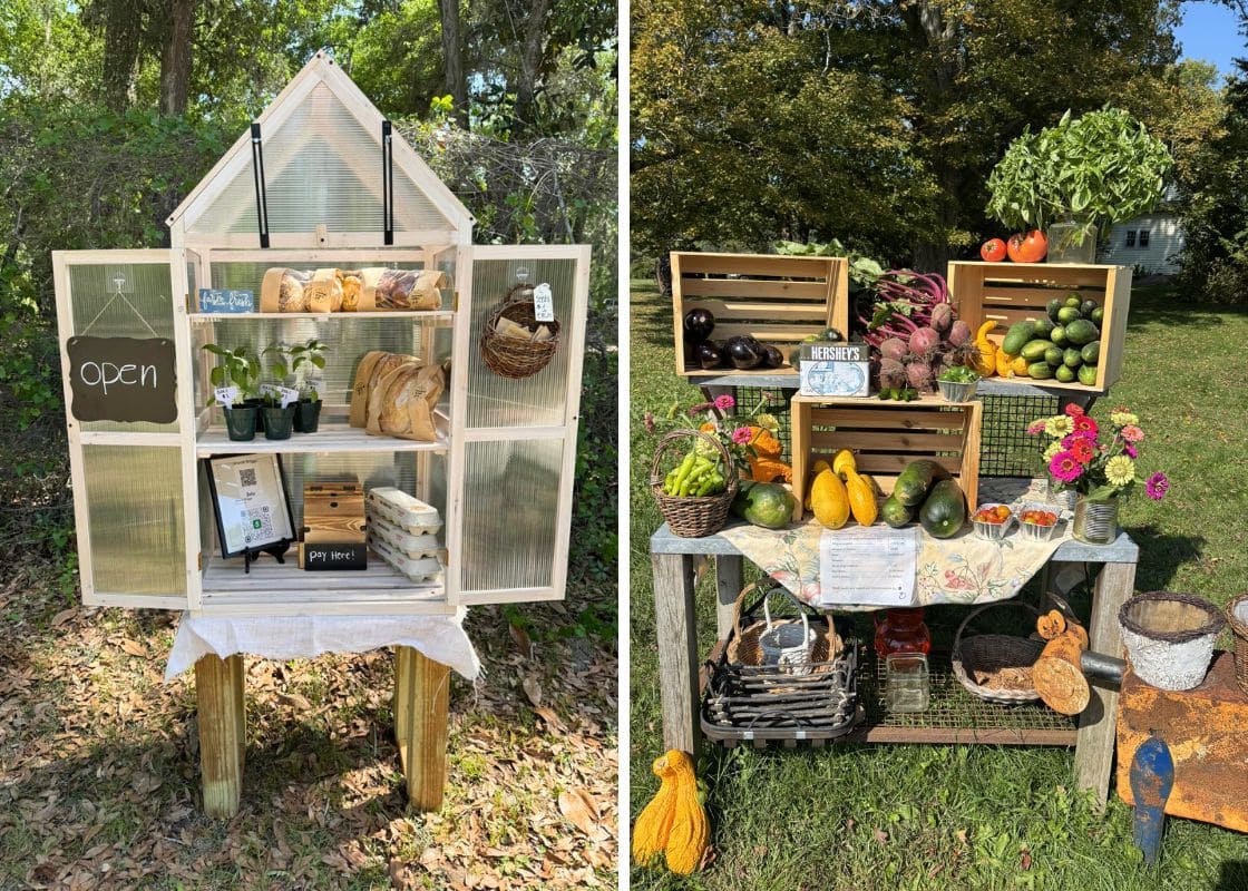 22 Charming DIY Farm Stand Ideas to Inspire Your Homestead