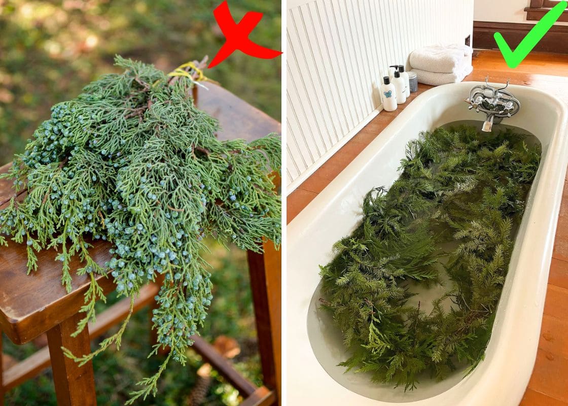 How to Keep Your Holiday Greenery Fresh and Fragrant All Season Long