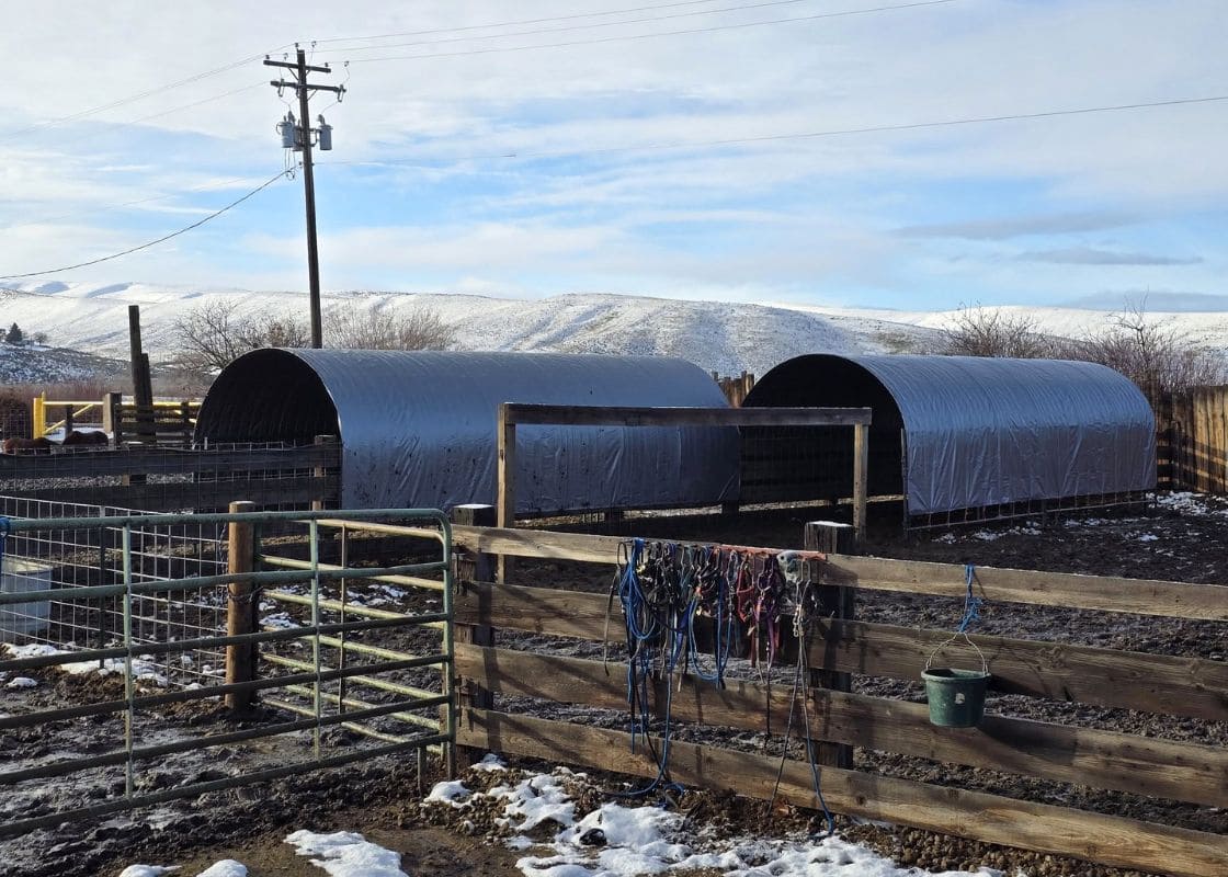 10+ Winterproof Ideas to Keep Your Livestock Warm and Safe