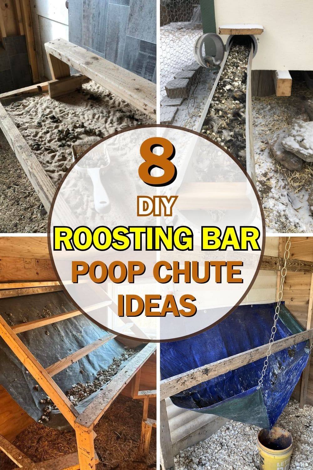 8 Genius Roosting Bar Poop Chute Ideas to Keep Your Coop Clean