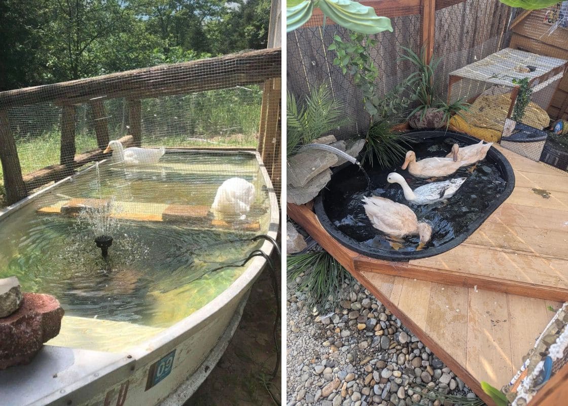 22 Creative Duck Pond Ideas for Cleaner Water and Happier Ducks