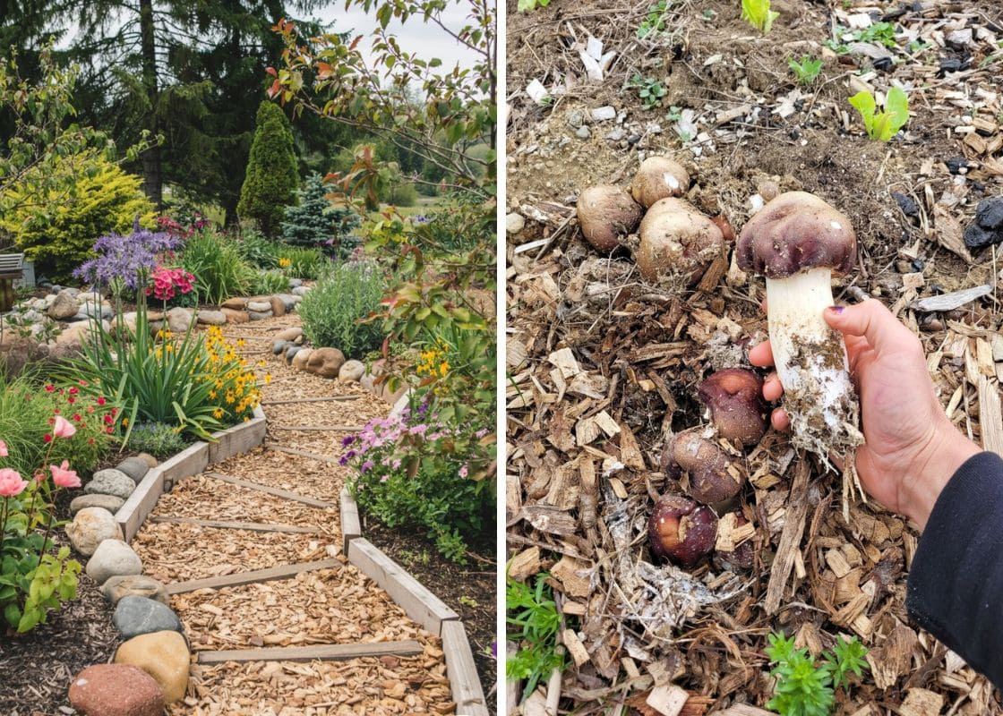 How to Make Mulch from Wood Chips for Your Garden