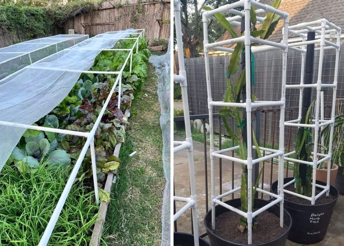 20 Creative DIY PVC Pipe Projects for Your Garden