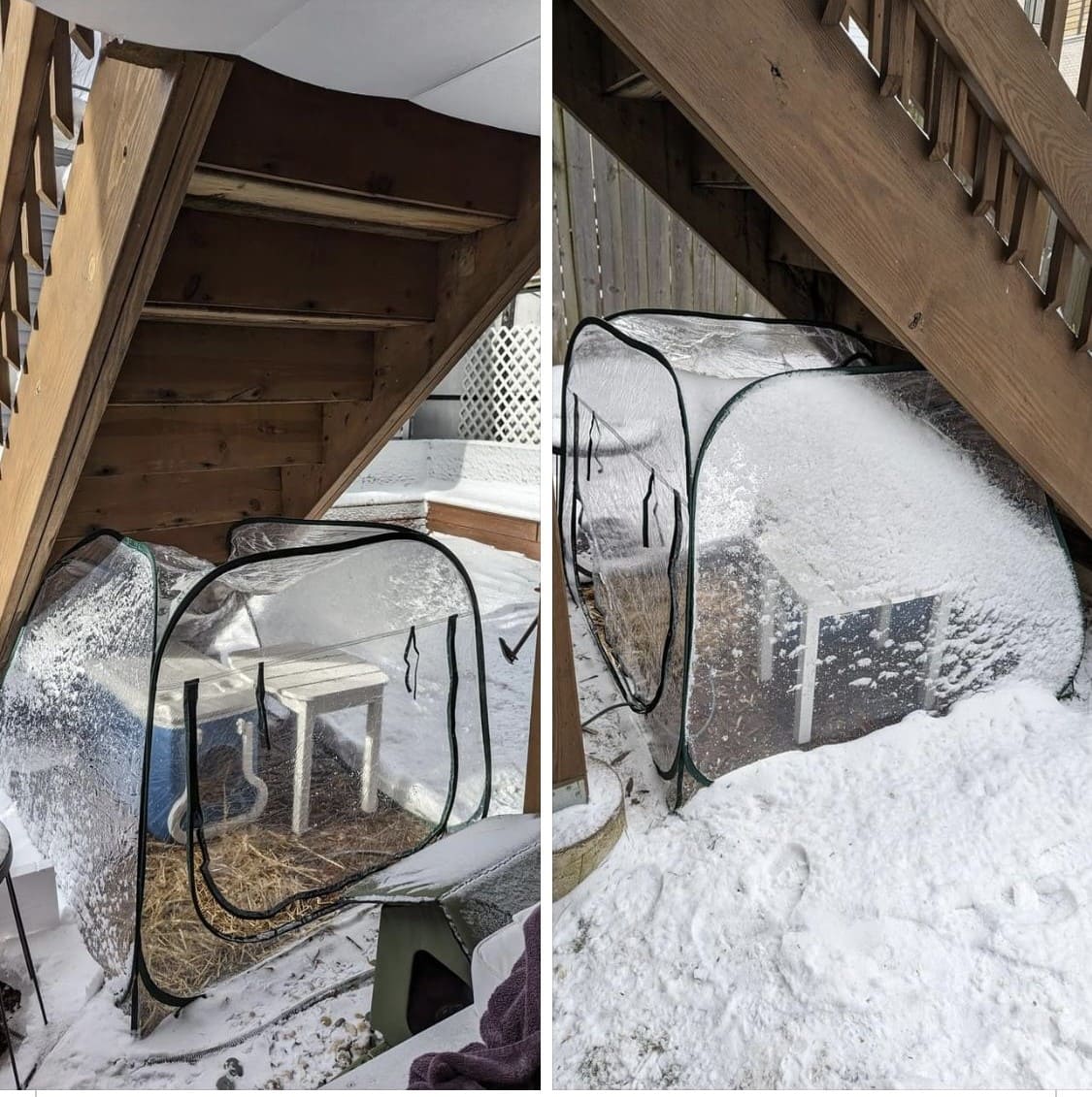 10+ Winterproof Ideas to Keep Your Livestock Warm and Safe Greenhouse Cat Haven Shelter
