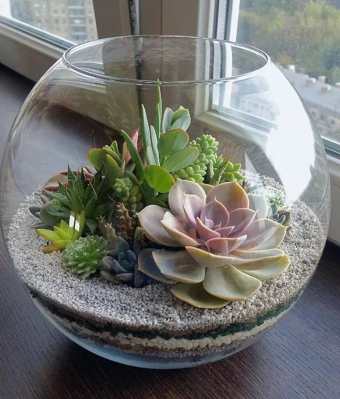 12 Creative DIY Fish Bowl Projects to Brighten Your Home Layered Succulent Terrarium Bowl