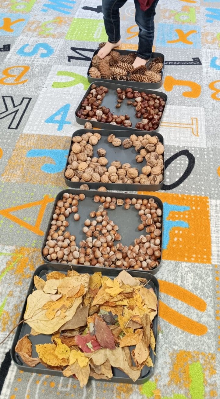 Nature Walk Sensory Path