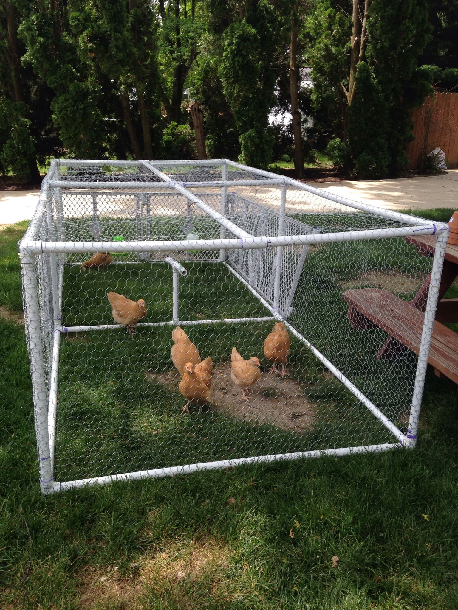 PVC Chicken Coop