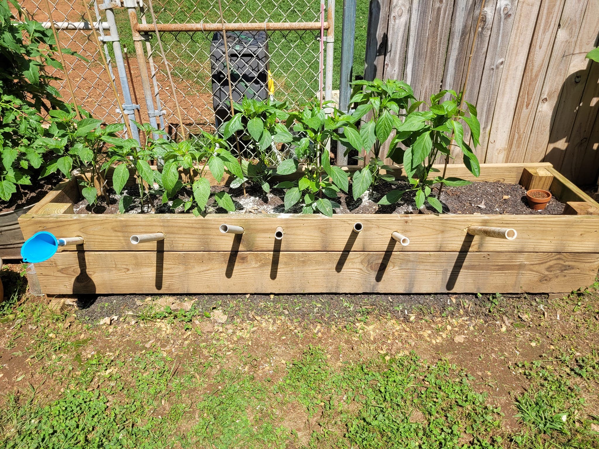 PVC Self-Watering Raised Bed