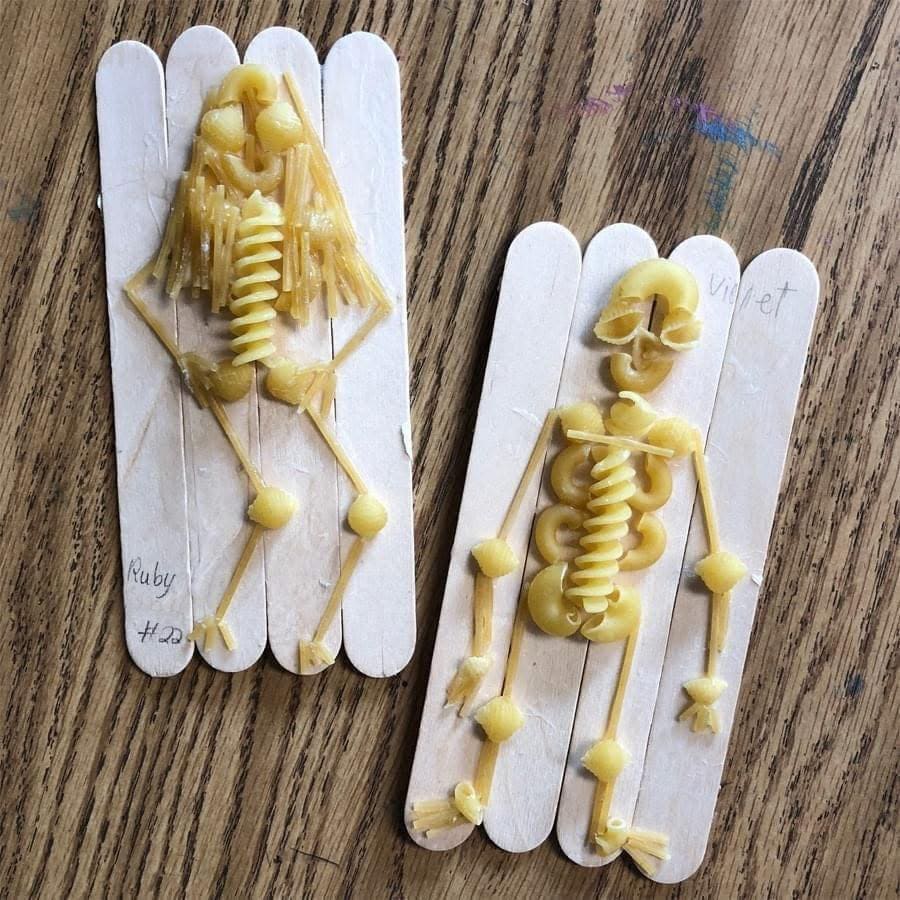20 Fun and Easy Pasta Crafts for Kids and Adults Alike Pasta Skeleton Craft