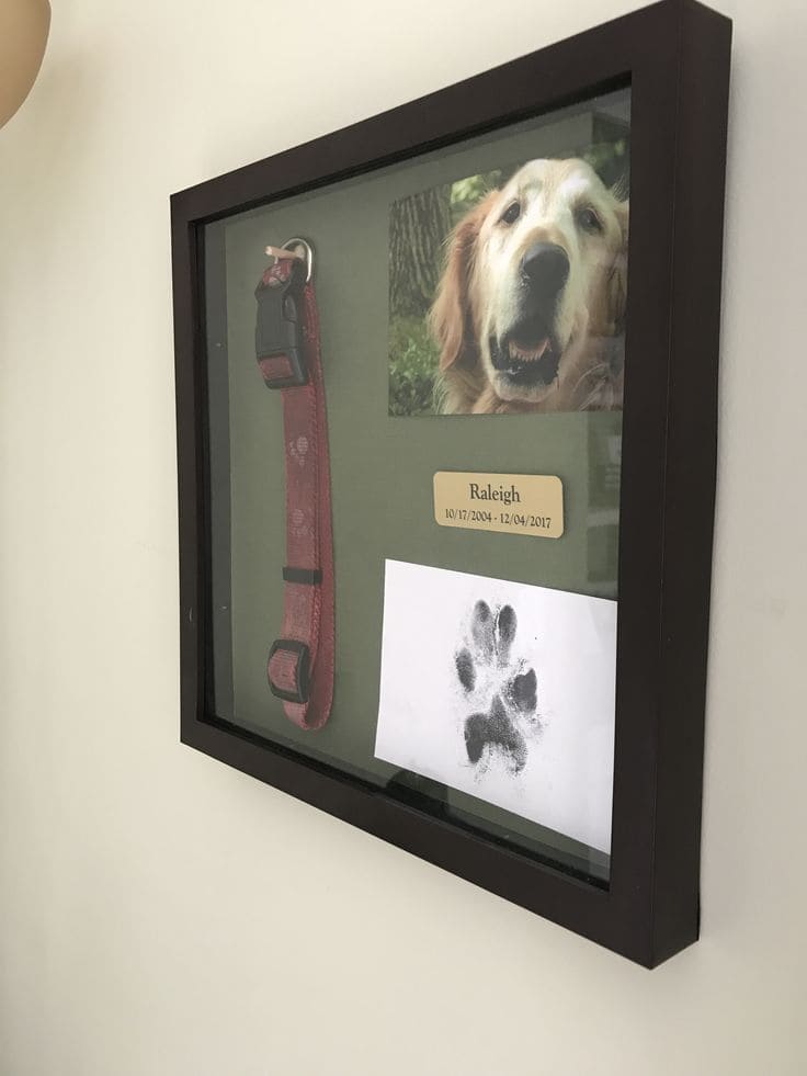 20 Unique Shadow Box Crafts to Showcase Your Treasured Keepsakes Pet Memorial Keepsake Shadow Box