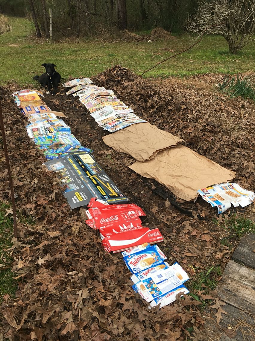 How to Make Mulch from Wood Chips for Your Garden How to Make Mulch from Wood Chips for Your Garden