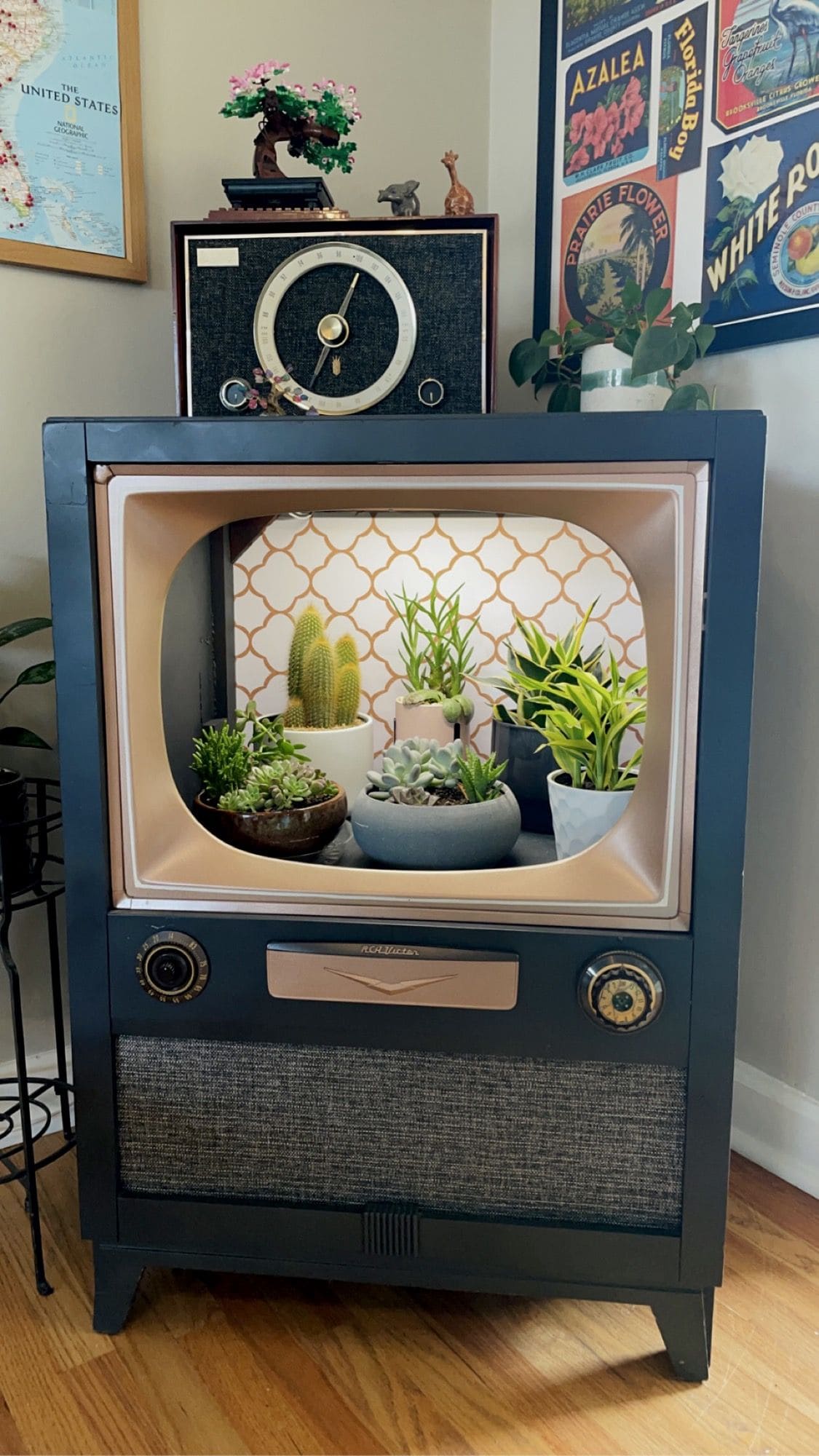 12 Old TV Makeovers to Give Nostalgia a Modern Twist Retro TV Indoor Succulent Garden