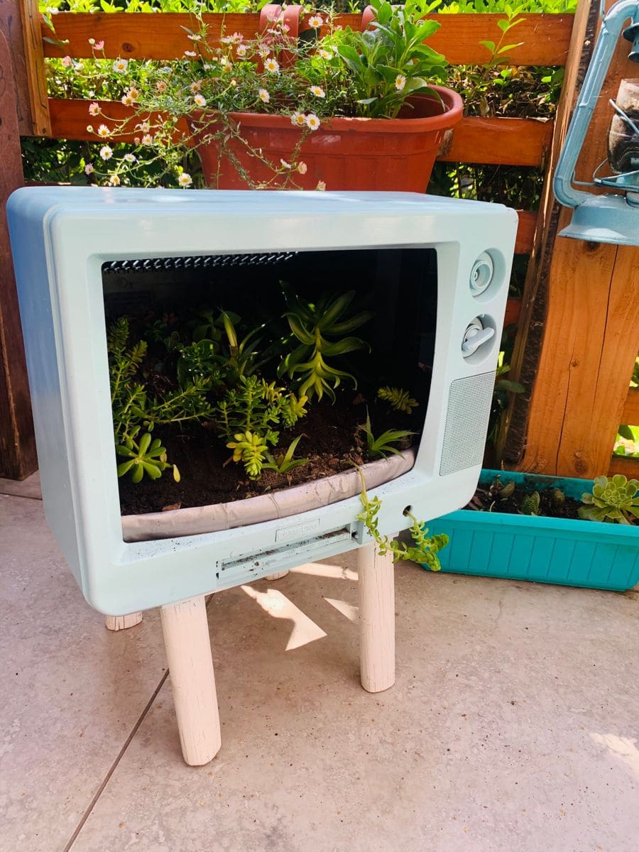 12 Old TV Makeovers to Give Nostalgia a Modern Twist Retro TV Succulent Garden Display