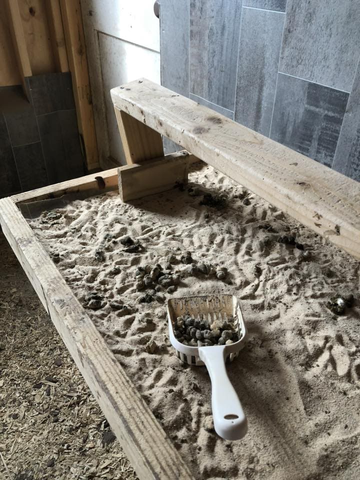 Roosting Bar Poop Chute Cleanup