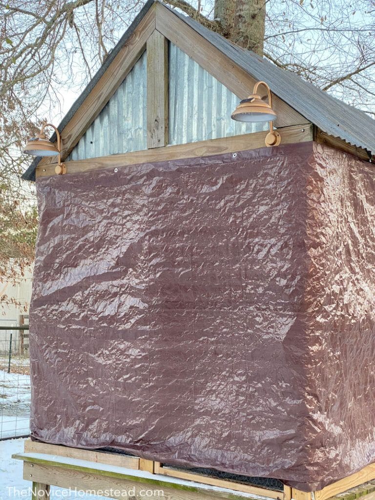 10+ Winterproof Ideas to Keep Your Livestock Warm and Safe Tarp-Wrapped Winter Chicken Coop