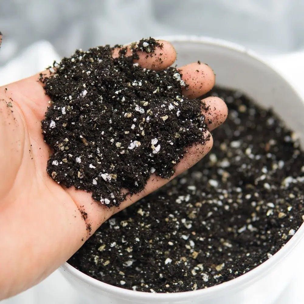 How to Properly Sterilize Potting Soil How to Properly Sterilize Potting Soil