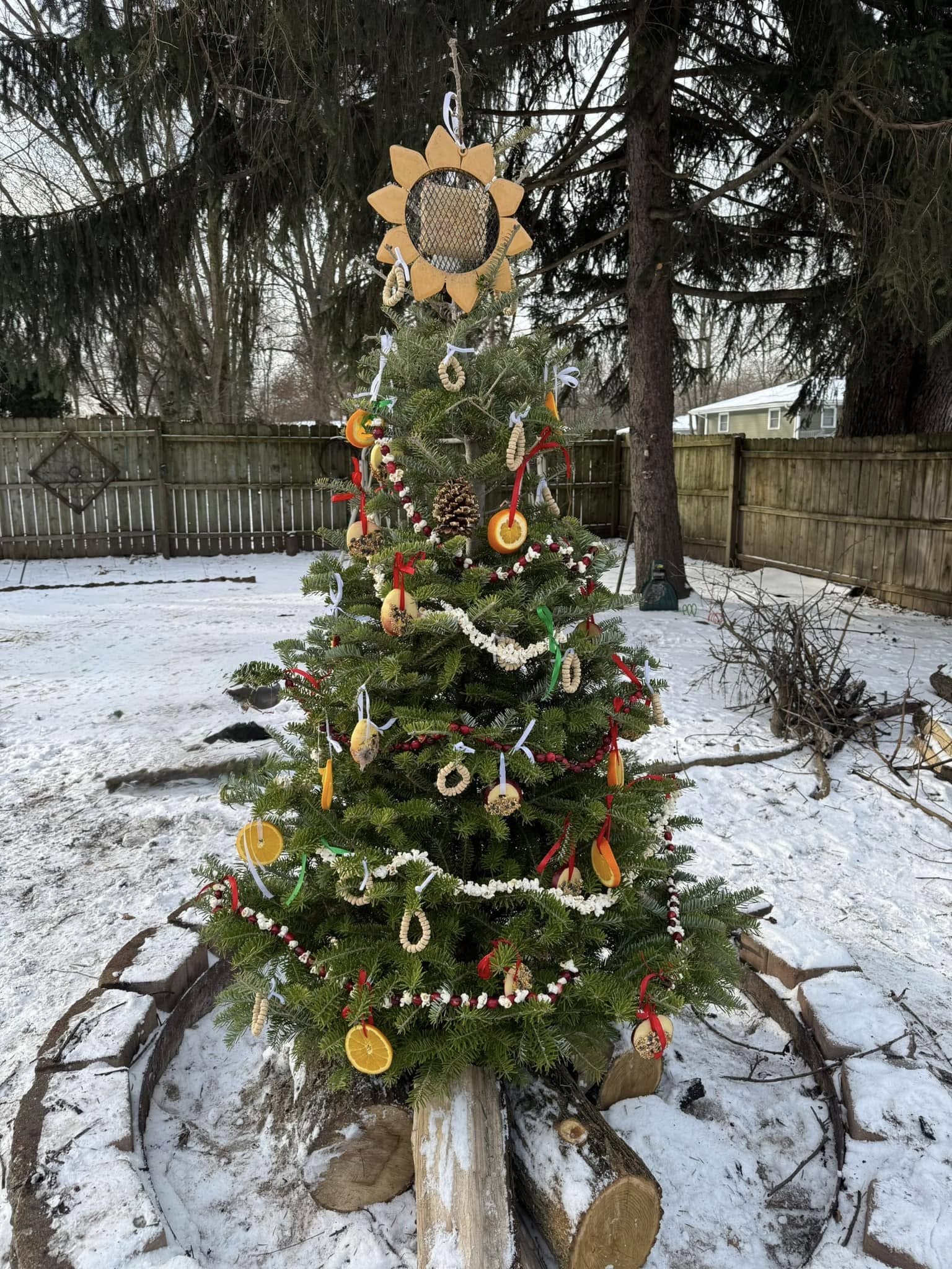 How to Turn Your Old Christmas Tree Into a Winter Wildlife Haven