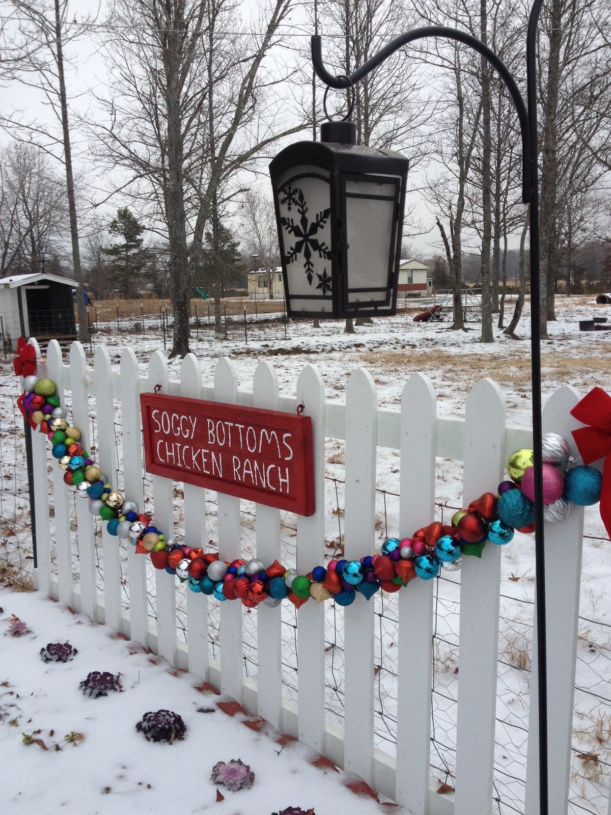 Colorful Ornament Ranch Fence