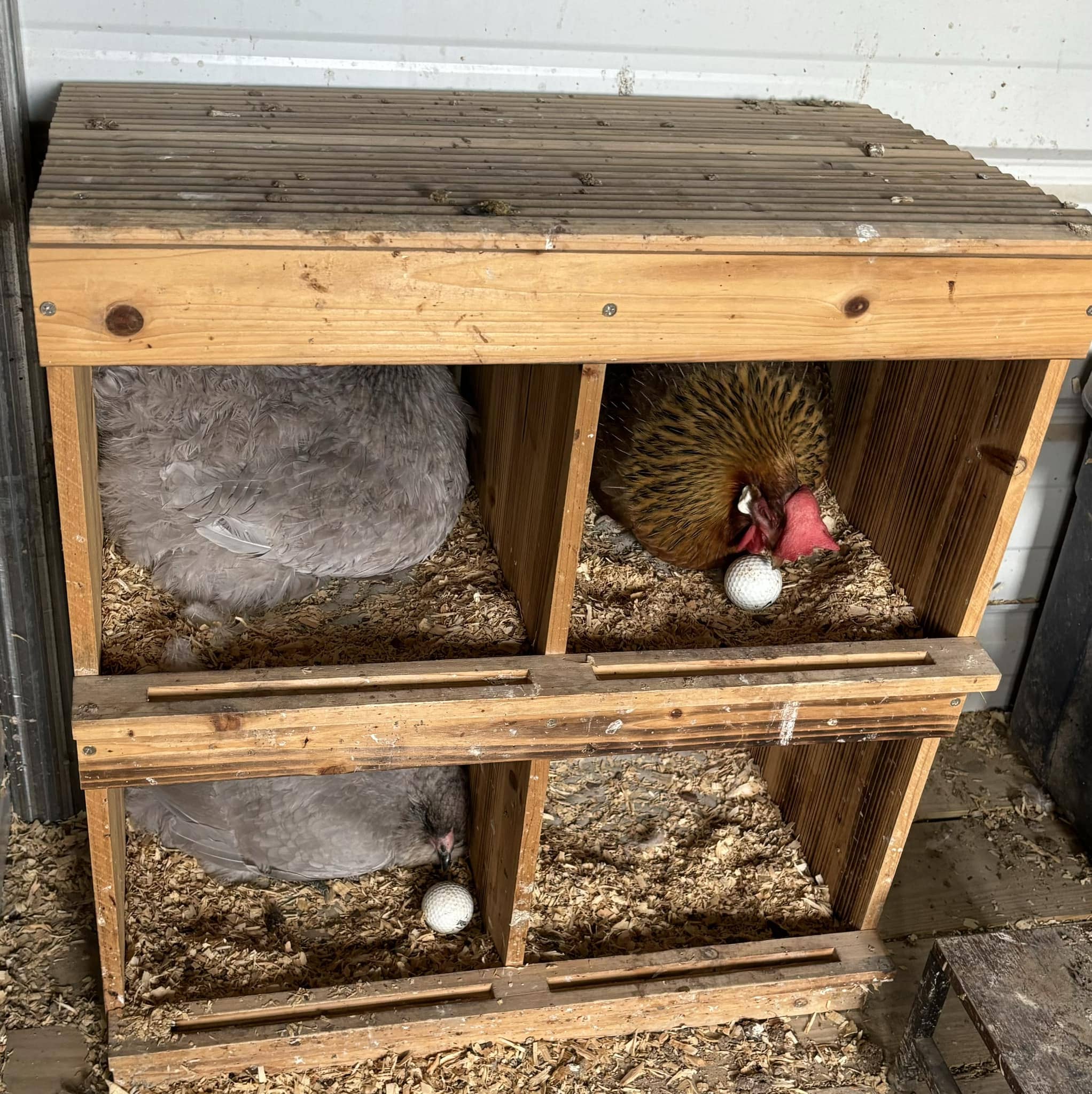 Compact Wooden Nesting Boxes