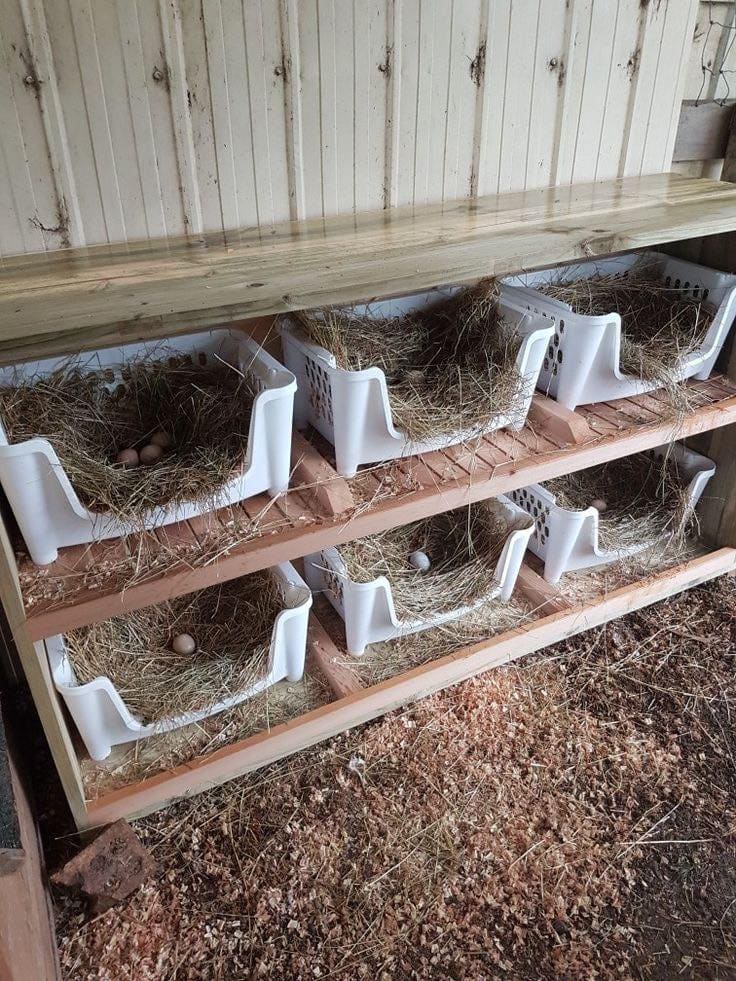 DIY Plastic Basket Nesting Boxes