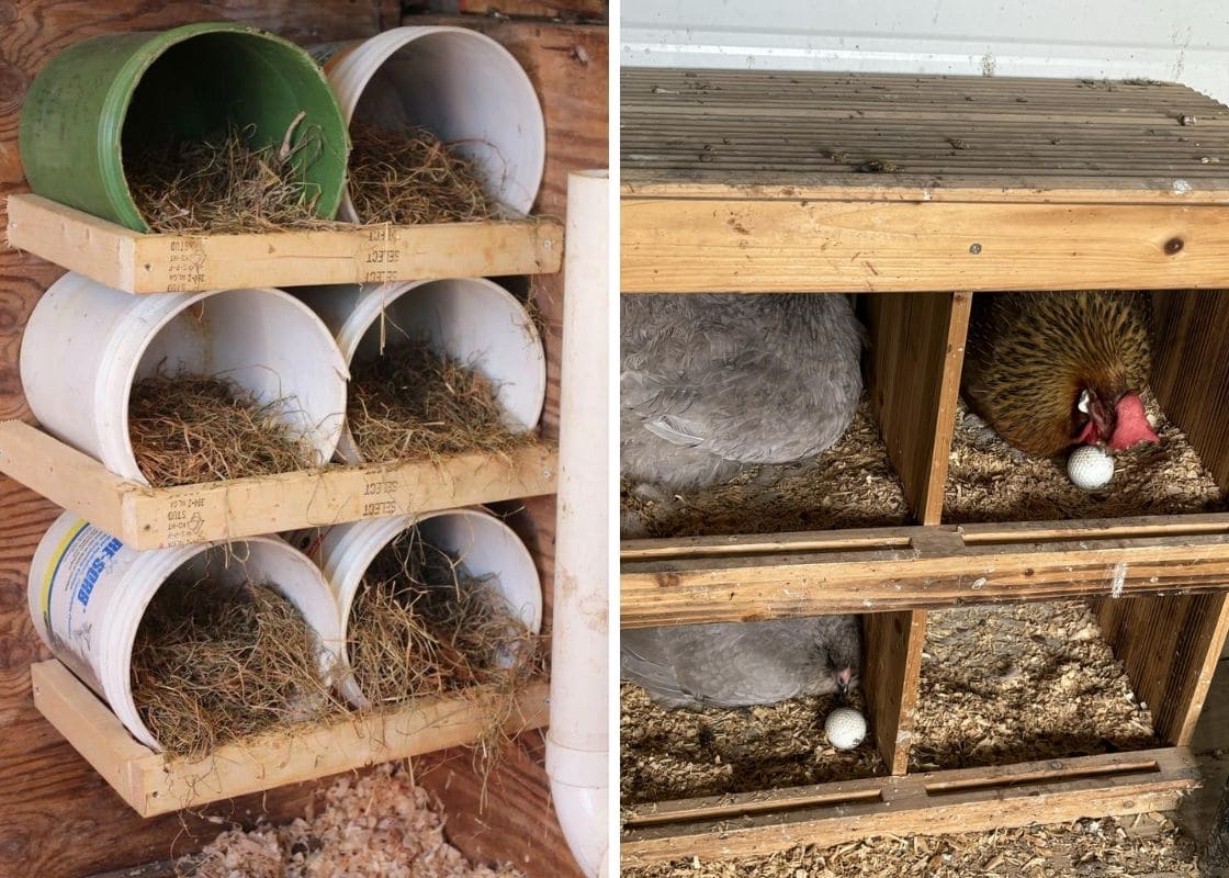 25 Creative DIY Chicken Nesting Box Ideas for Your Coop