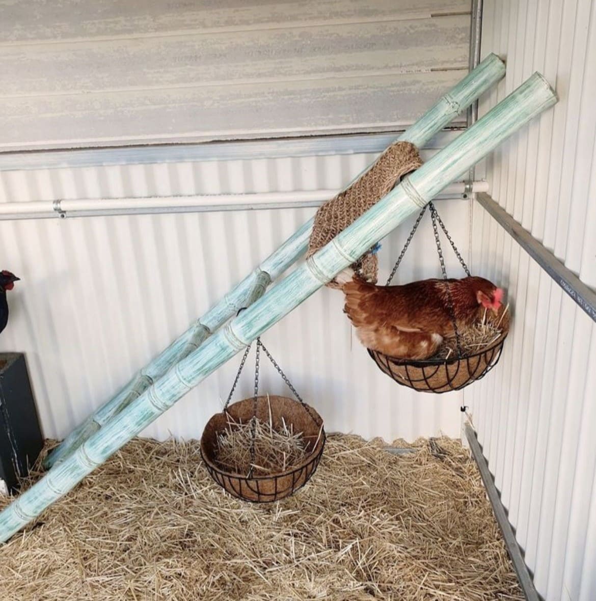 Hanging Basket Nesting Boxes