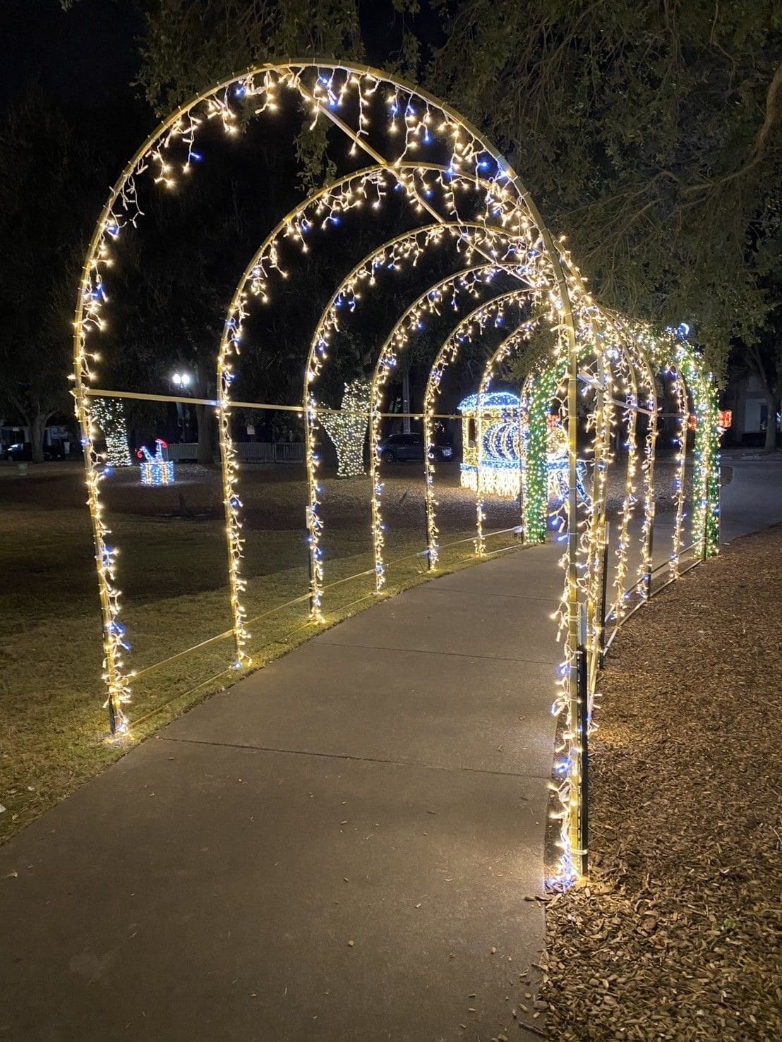20+ Christmas Driveway Ideas for a Magical Holiday Arrival Magical Lighted Archway Tunnel
