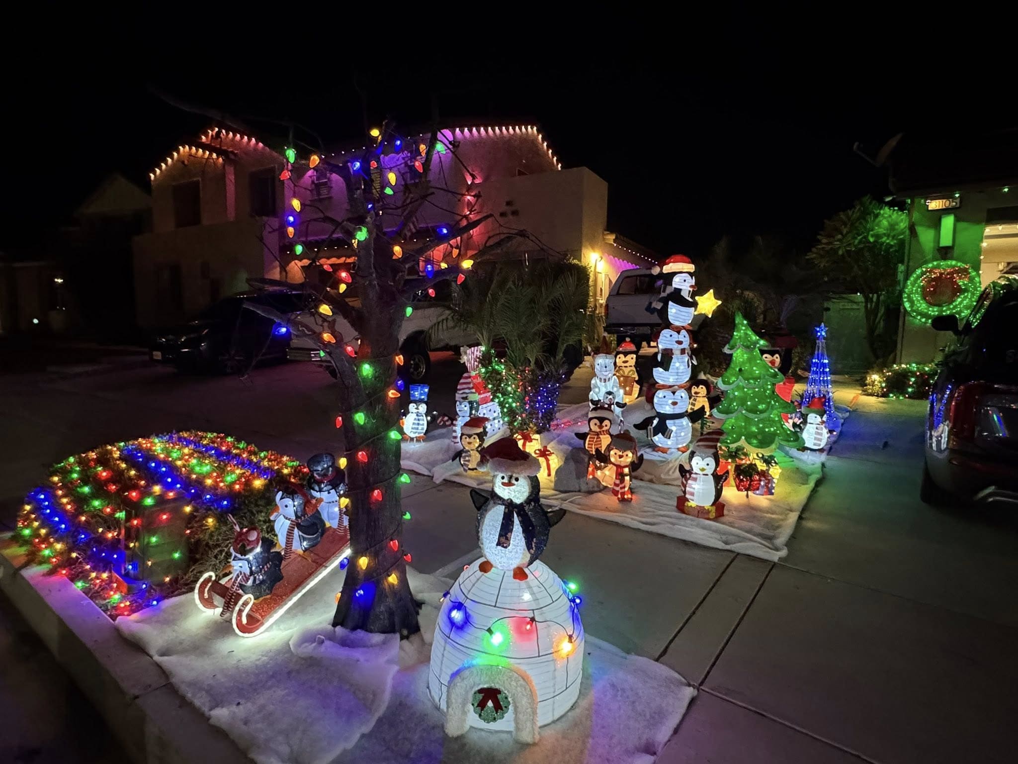 20+ Christmas Driveway Ideas for a Magical Holiday Arrival Penguin Winter Wonderland Display