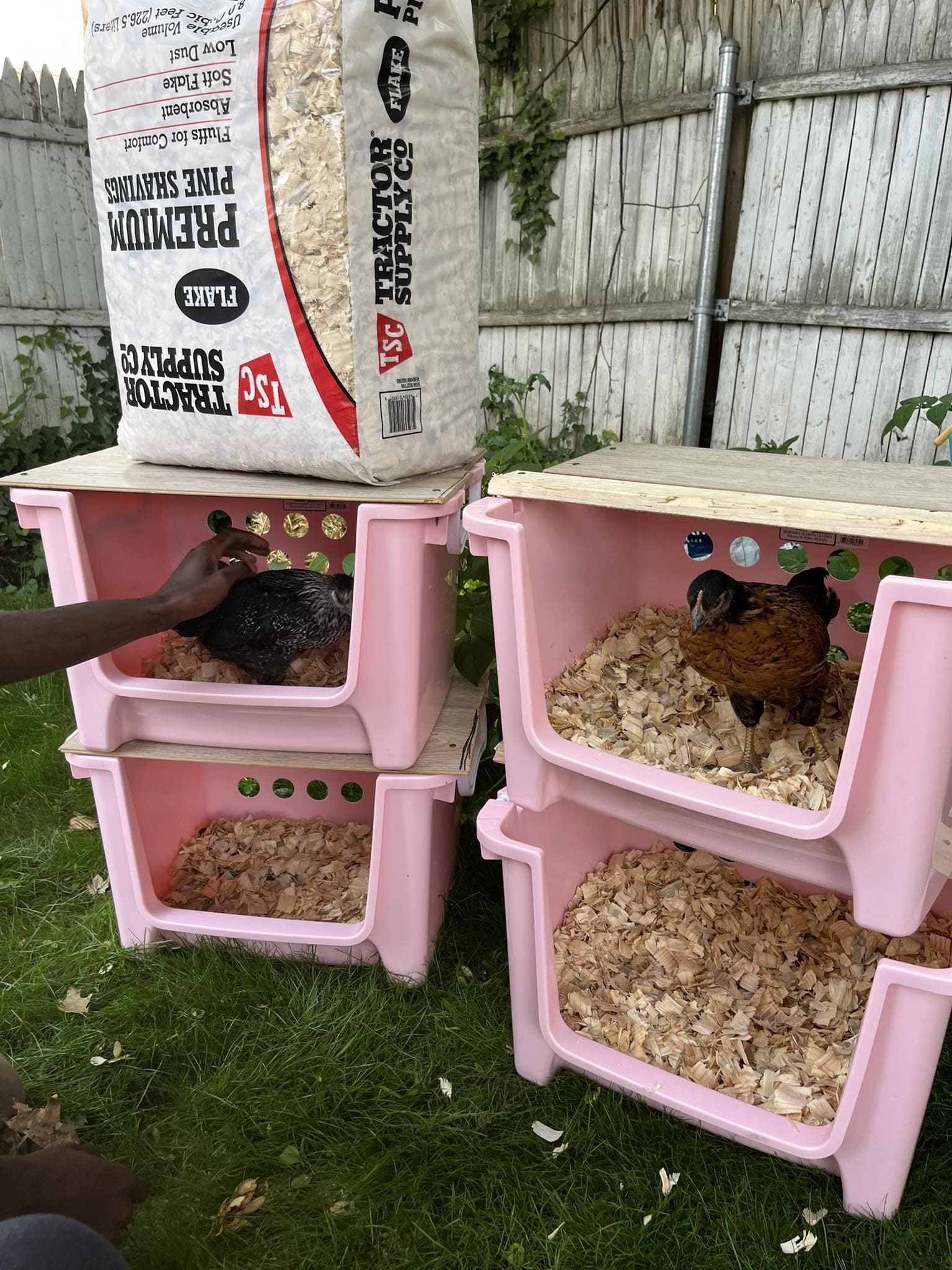 Plastic Bin Nesting Boxes