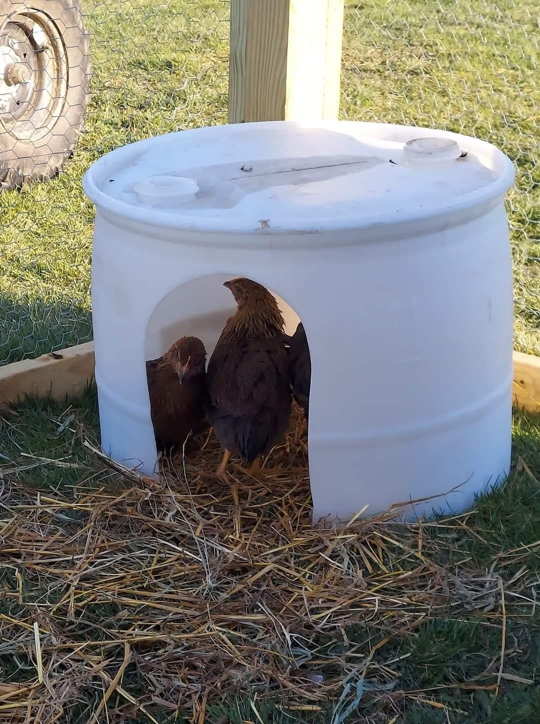 Repurposed Barrel Nesting Box