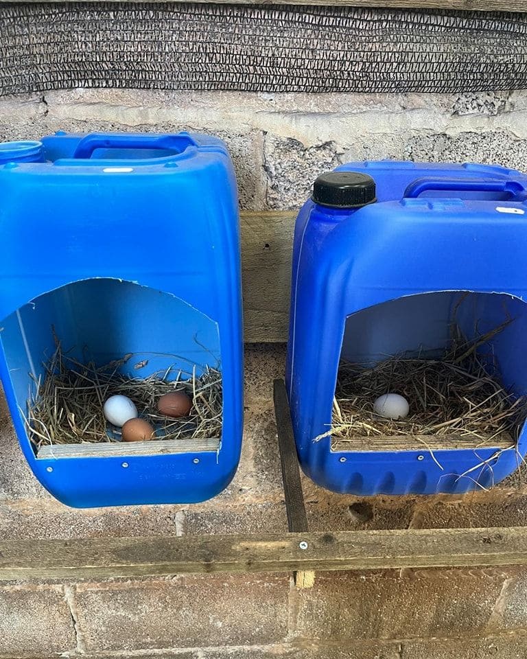 Repurposed Plastic Nesting Boxes