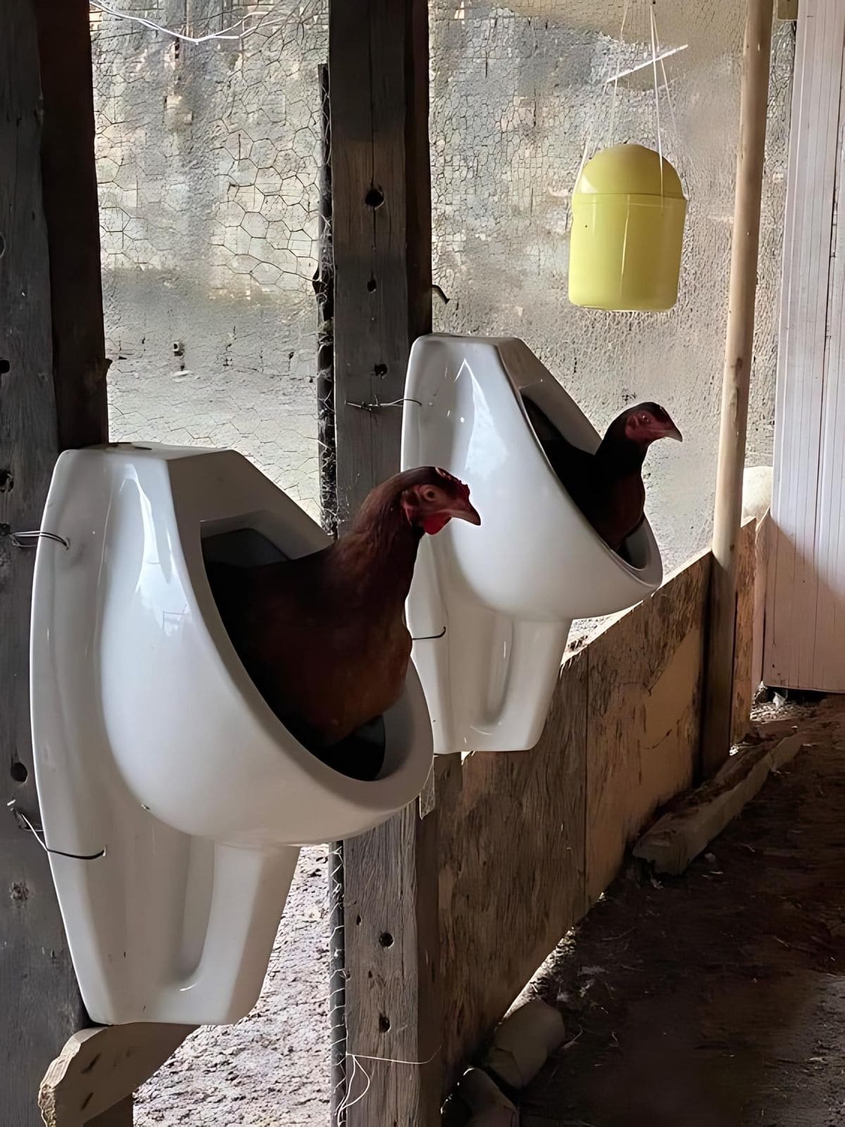 Repurposed Urinal Nesting Boxes