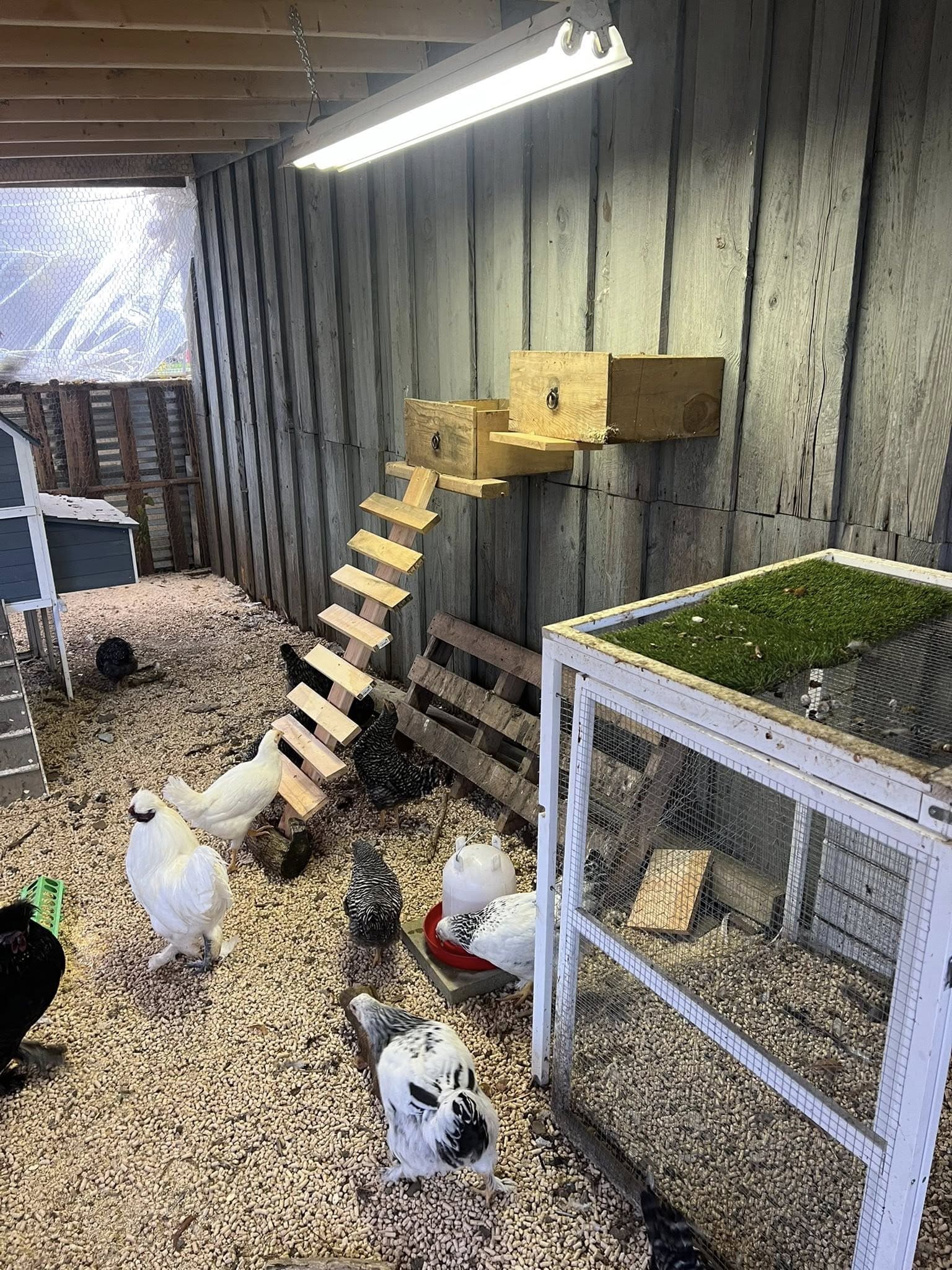 Simple Wooden Nesting Boxes