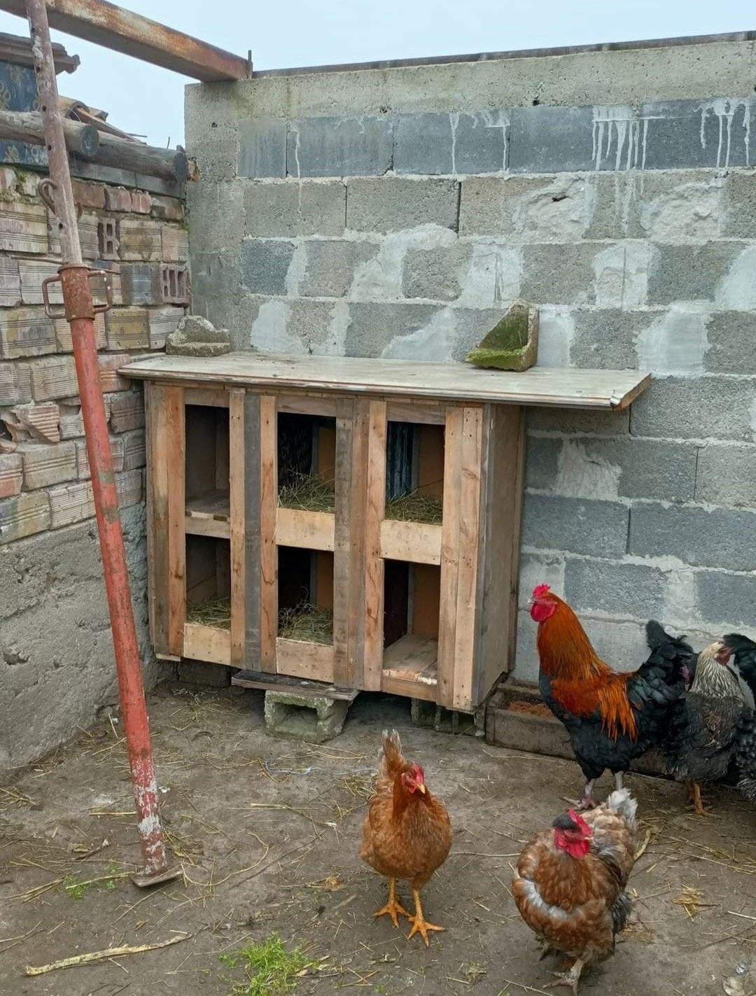 Simple Wooden Nesting Unit