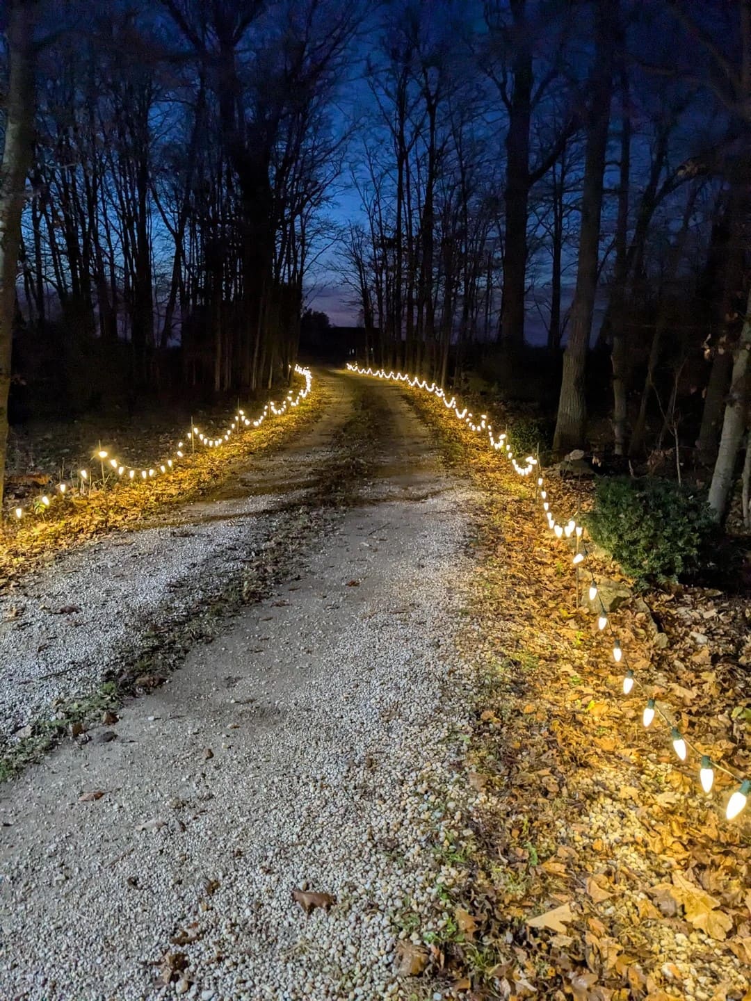 20+ Christmas Driveway Ideas for a Magical Holiday Arrival Soft Woodland Path Lights