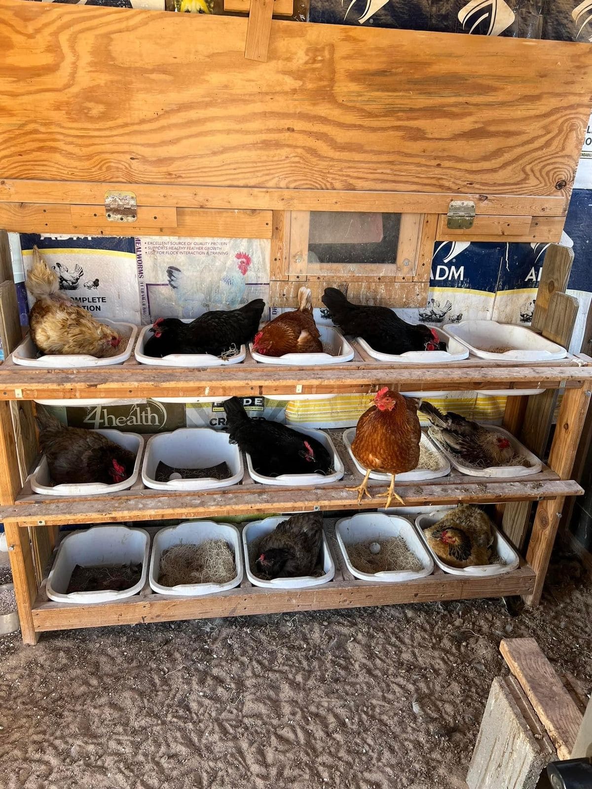 Stacked Plastic Nesting Trays