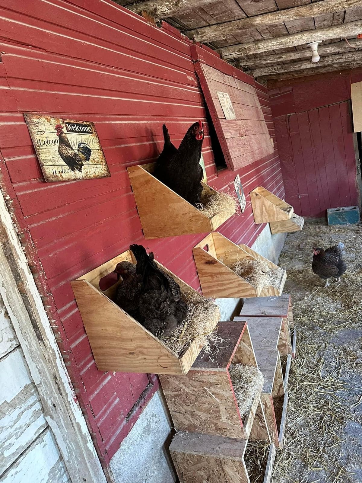 Wooden A-Frame Nesting Boxes