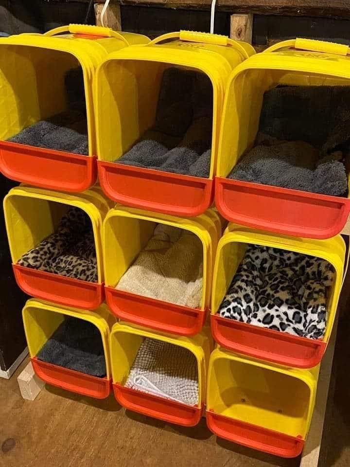 Cubby-Style Multi-Pet Nap Wall