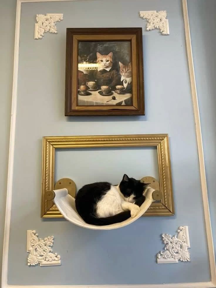 Framed Wall Hammock Nap Gallery