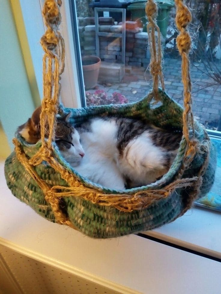 Hanging Window Basket Cat Nap