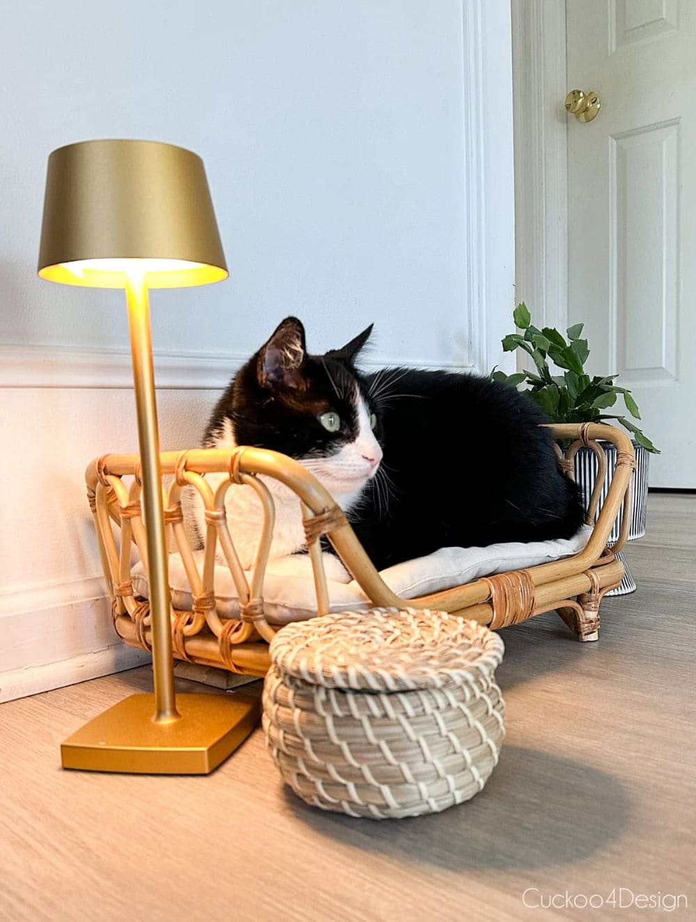 Rattan Lounge Chair Cat Nap Spot