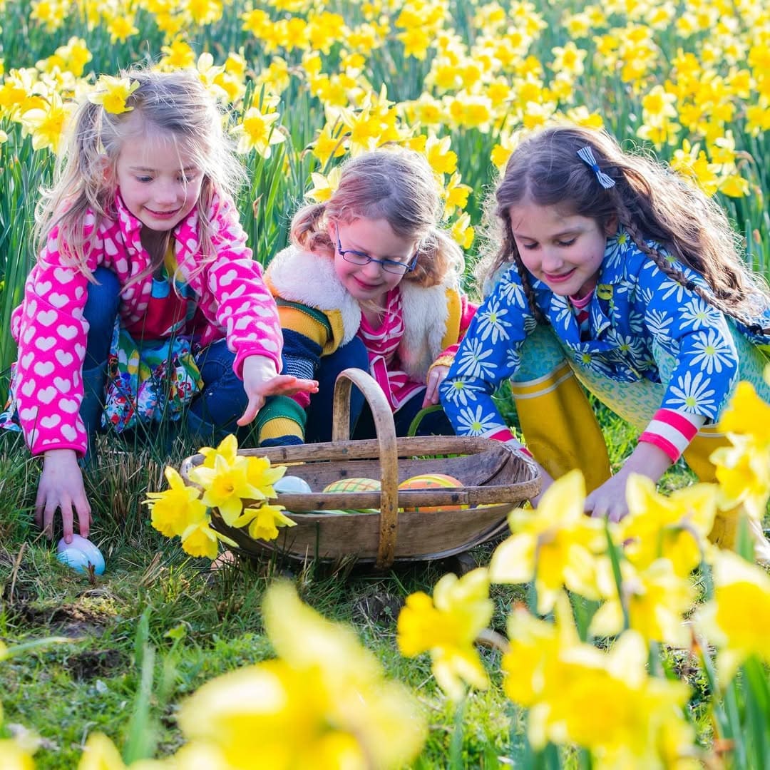 Spring Meadow Egg Hunt Adventure