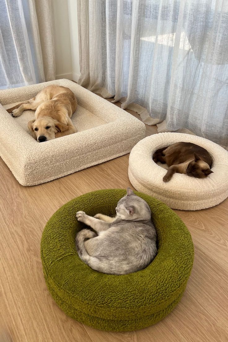 Sunlit Multi-Pet Nap Corner